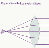 Kaavio siit, kuinka kupera linssi kokoaa valonsteet yhteen pisteeseen linssin taakse
